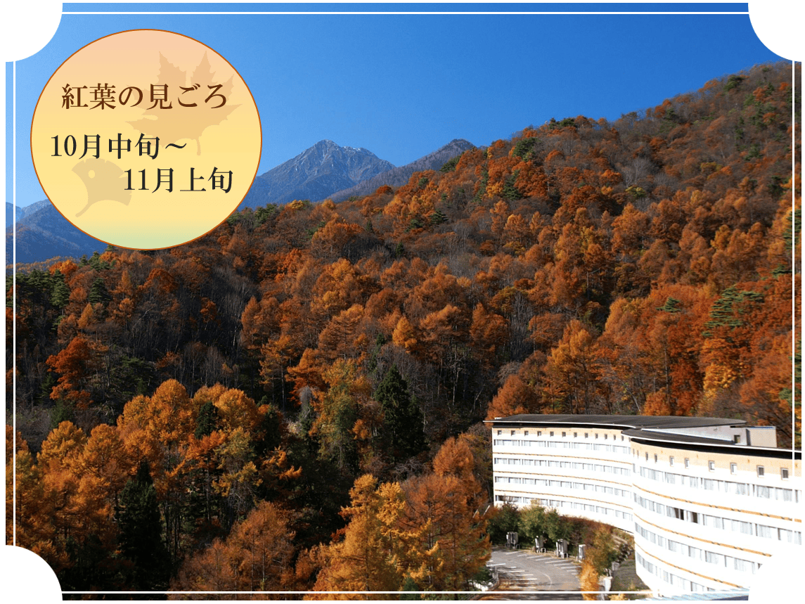AMBIENT 安曇野ホテル紅葉