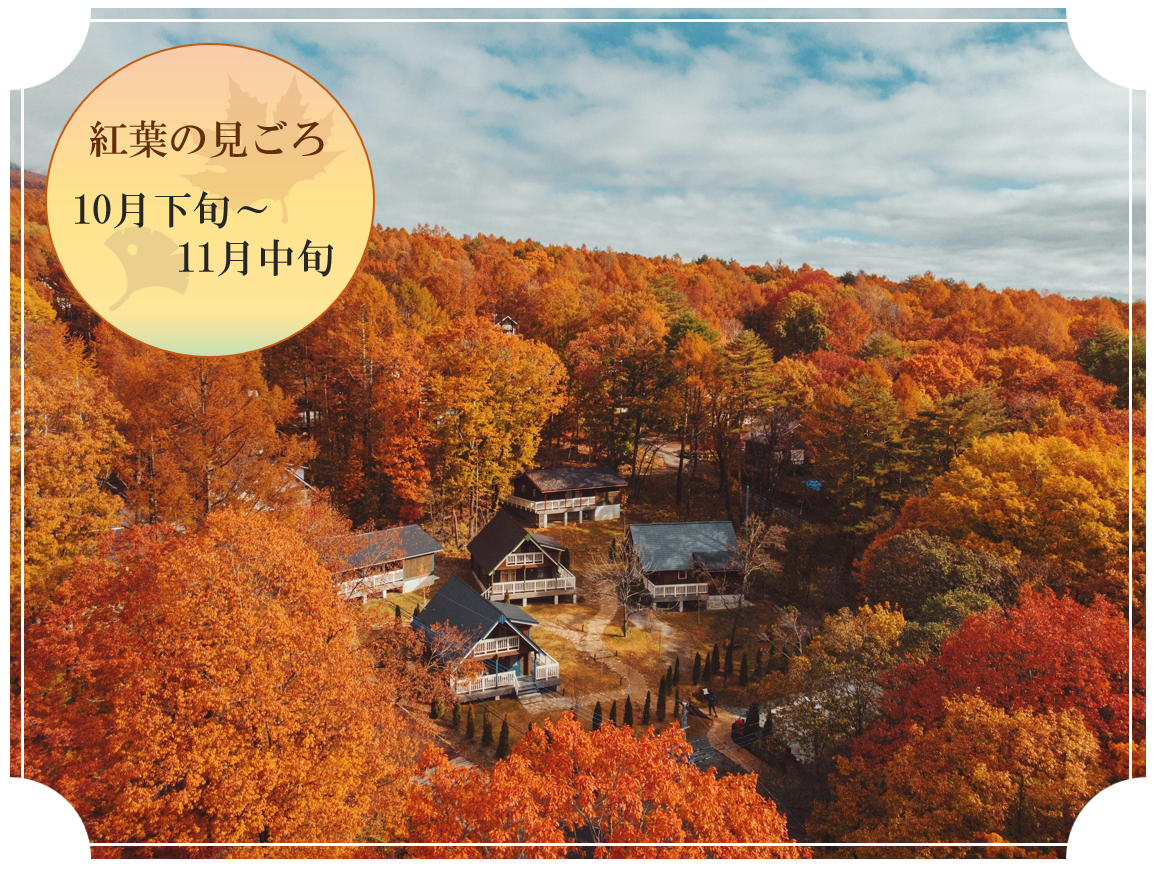 AMBIENT 八ヶ岳コテージ紅葉