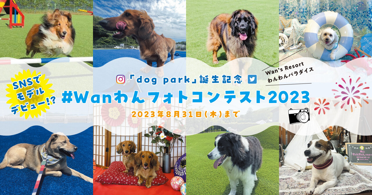【SNSキャンペーン】dog park誕生記念「 #wanわんフォトコンテスト2023」開催！
