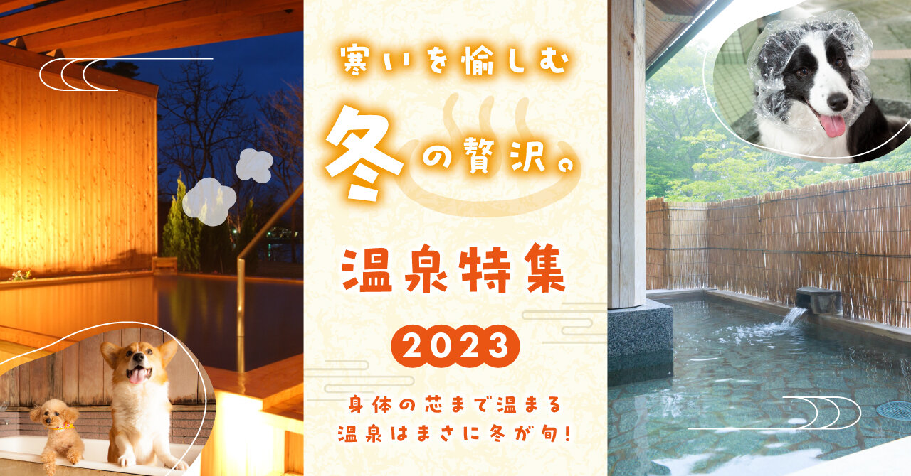 寒いを愉しむ冬の贅沢。温泉特集2023
