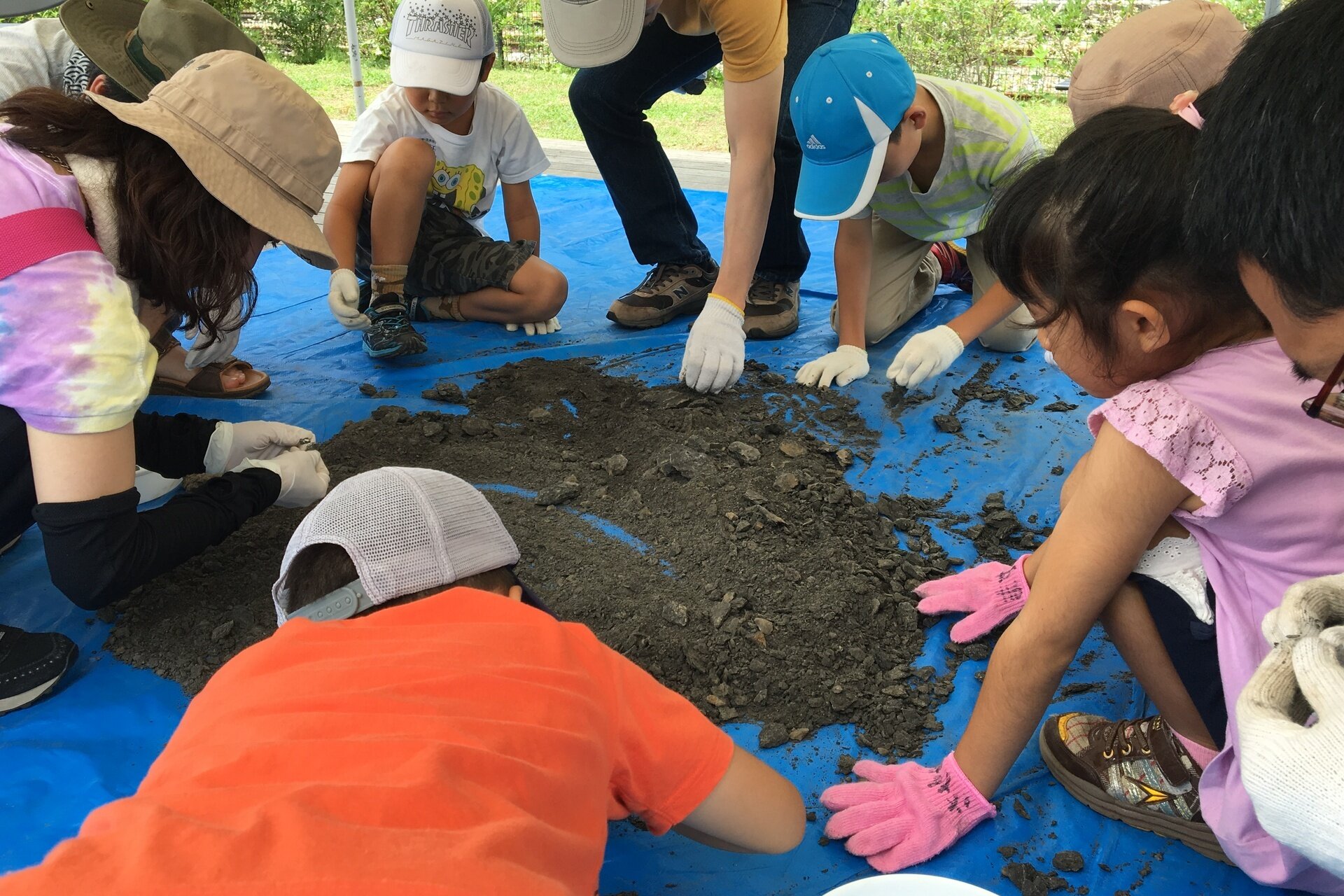 化石発掘体験