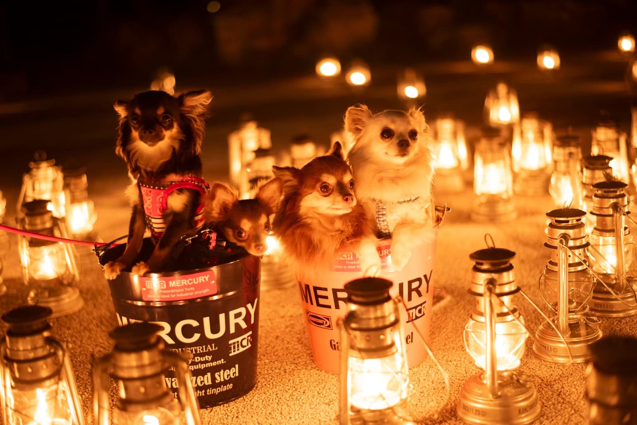 KANZANJI LANTERN PROJECT