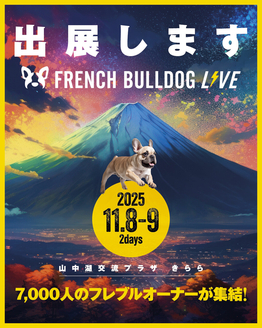 French Bulldog LIVE⚡️2025 (フレブルLIVE)