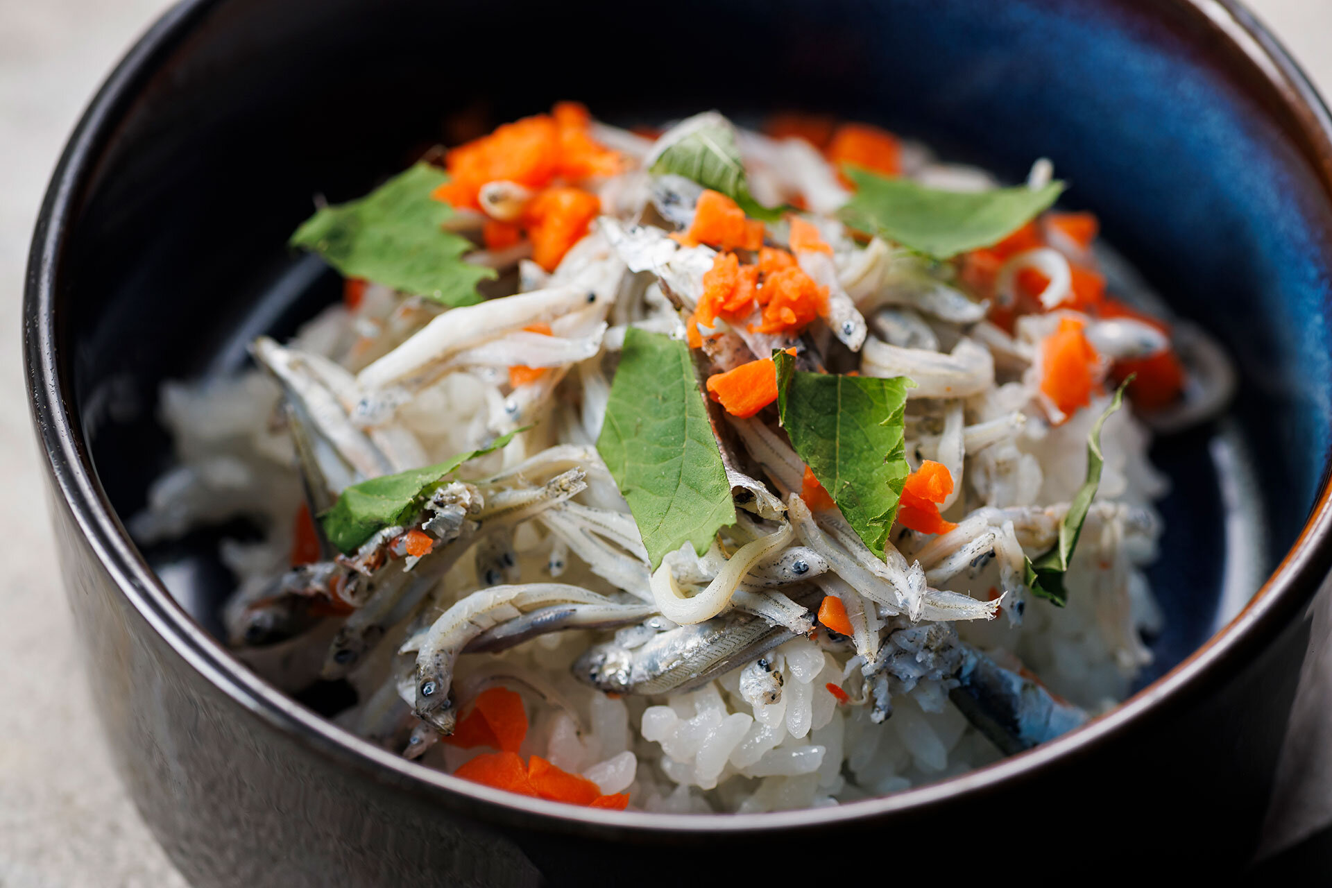 釜揚げシラス丼