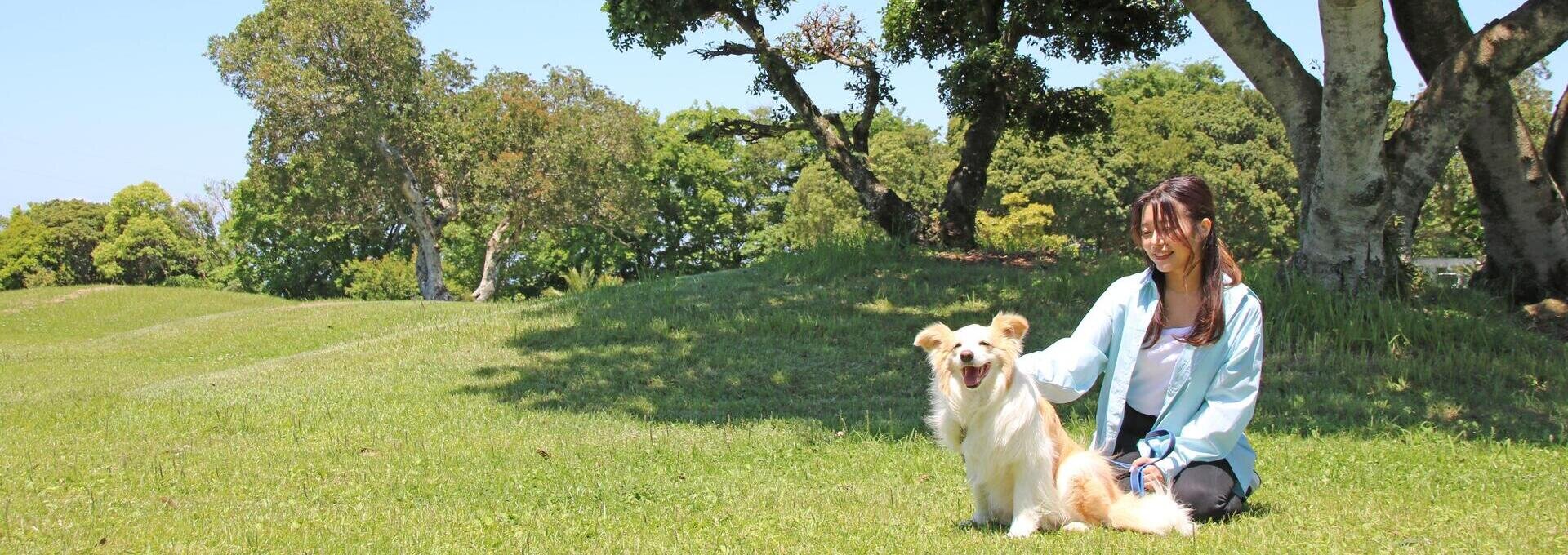 温泉と海の幸が織りなす魅力に満ち溢れた関西エリアの愛犬リゾート～南紀白浜わんわんパラダイス