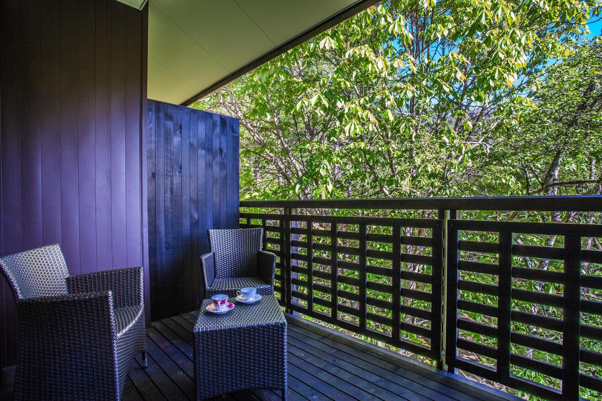 【テラス付】デラックスツイン