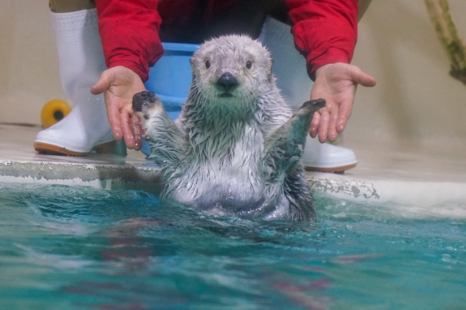 鳥羽水族館