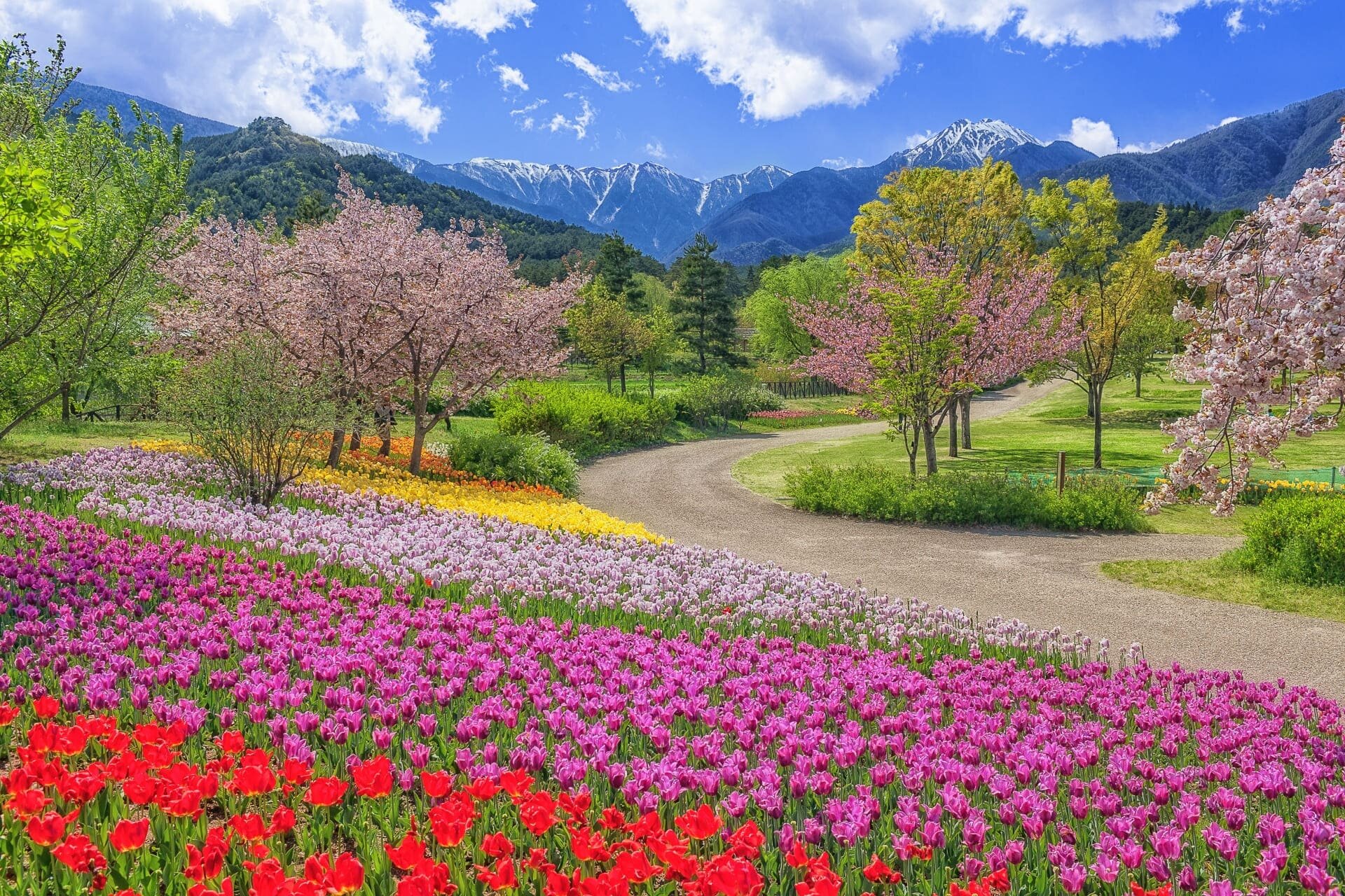 国営アルプスあづみの公園