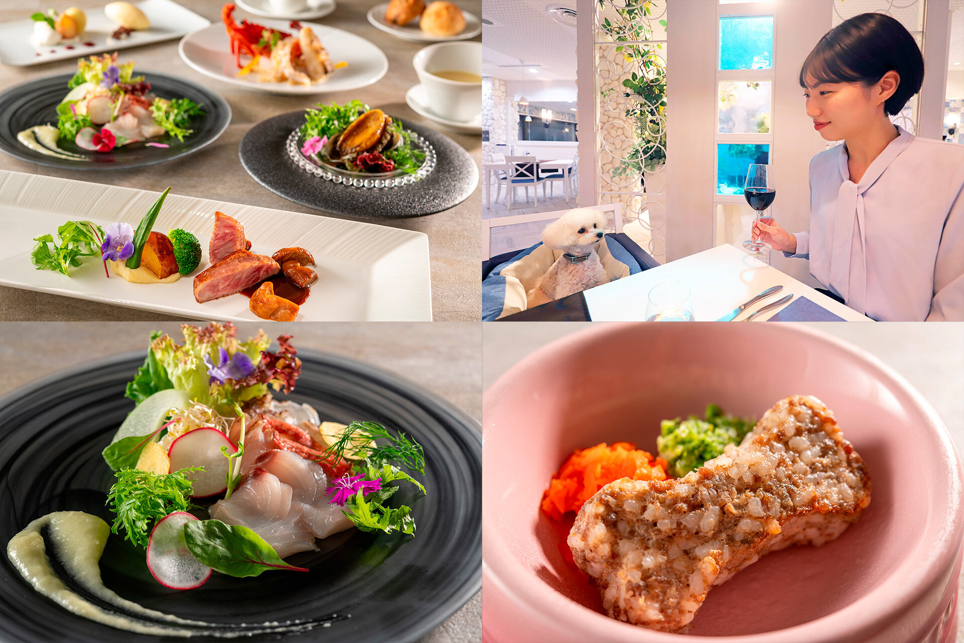 Enjoying dinner with your dog