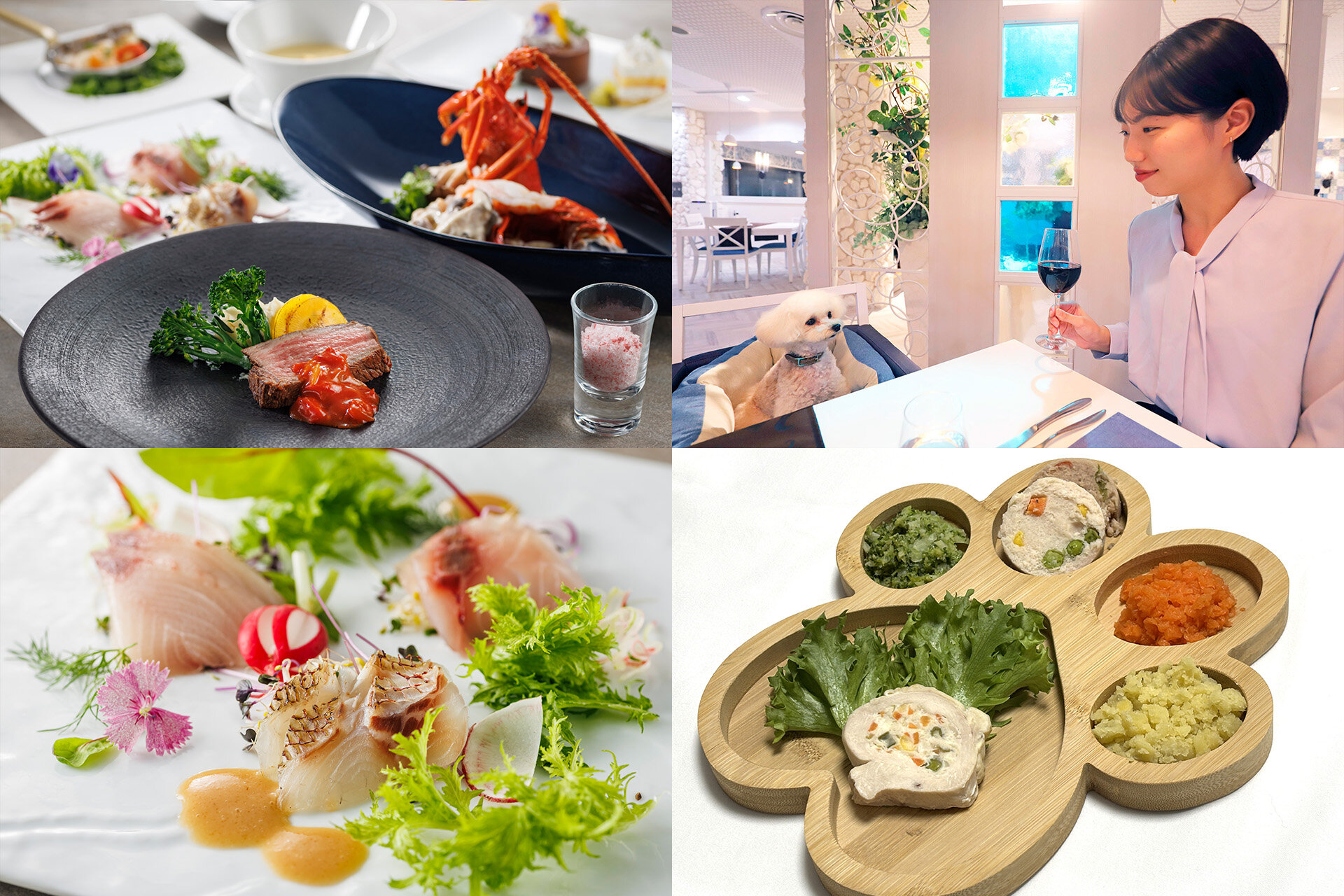 애견과 함께 저녁 식사를 즐기십시오.