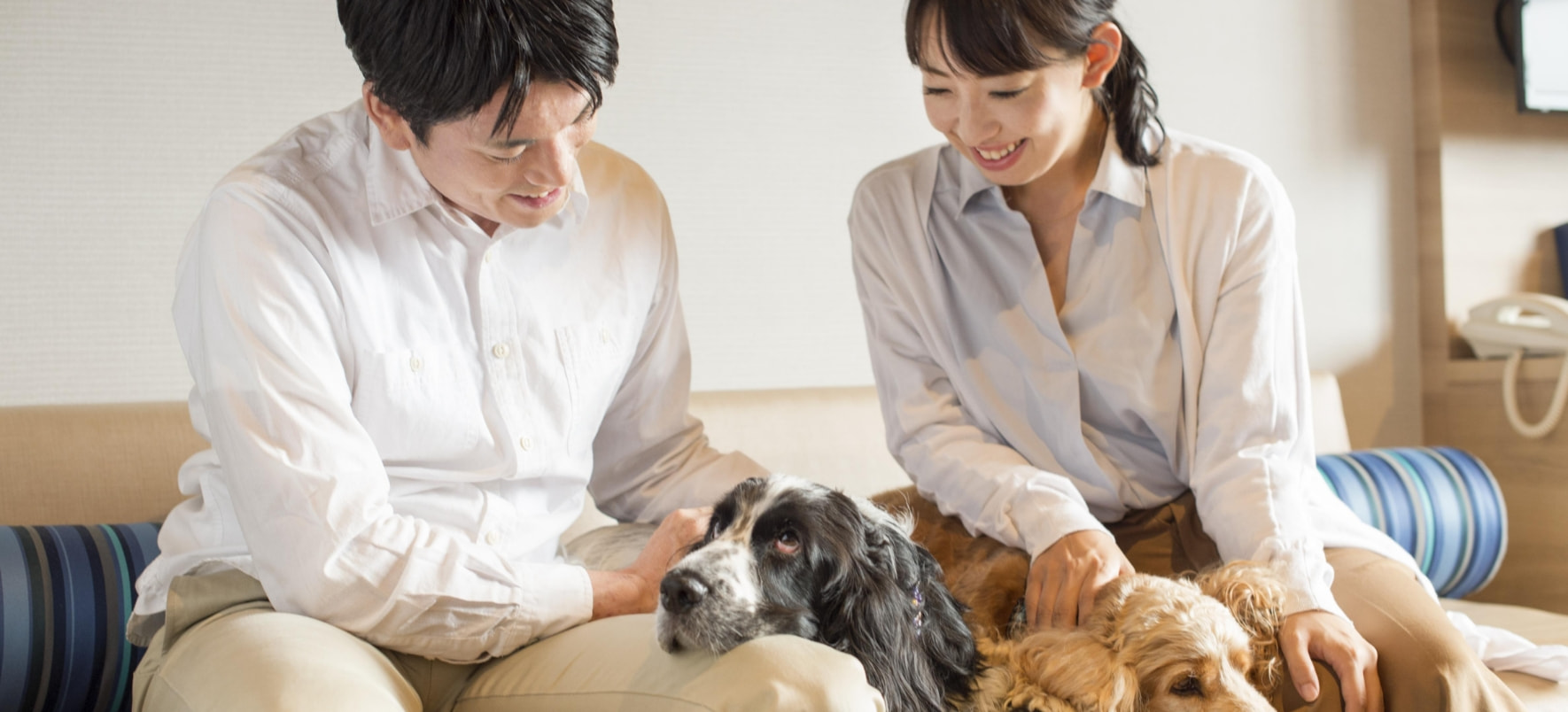 愛犬（ペット）と泊まれるリゾートホテルの一室で飼い主にくっついて寛ぐわんちゃんたち